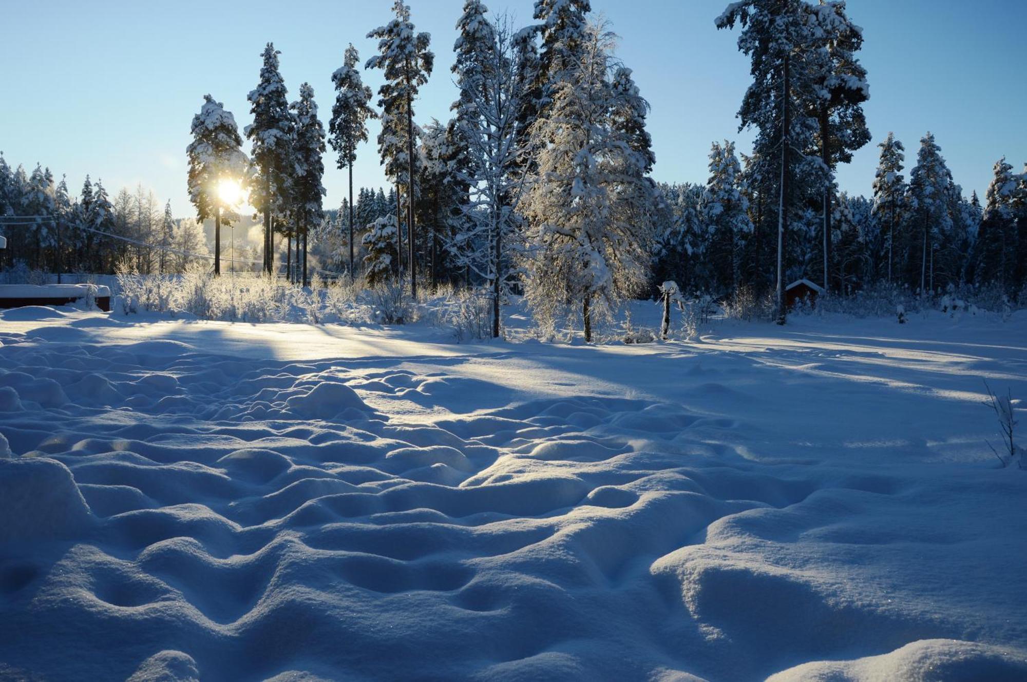 14 - Fulufjellets Nasjonalparker - Natur-, Dyre- Og Fugleopplevelser Trysil Exterior photo