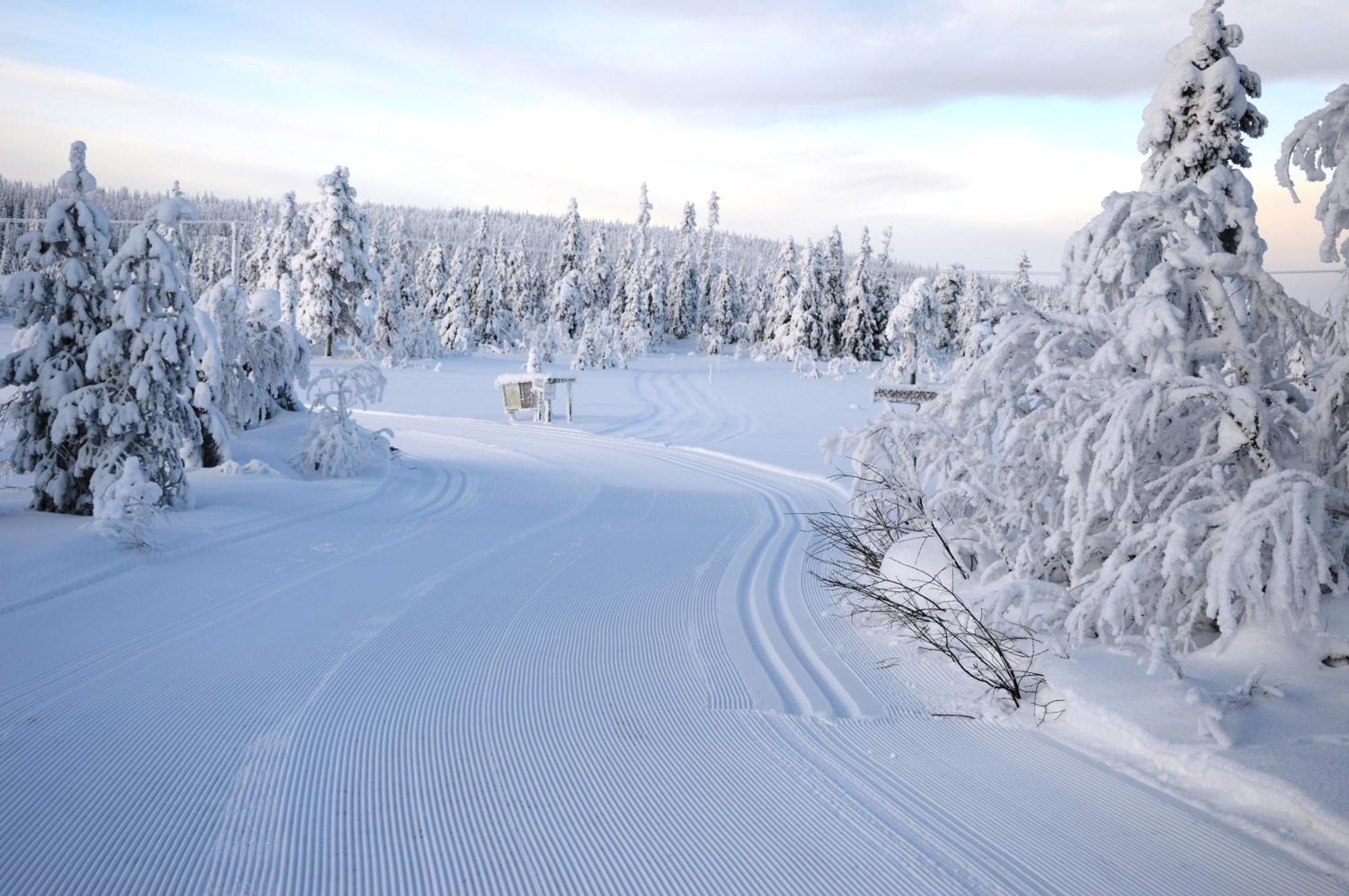 14 - Fulufjellets Nasjonalparker - Natur-, Dyre- Og Fugleopplevelser Trysil Exterior photo
