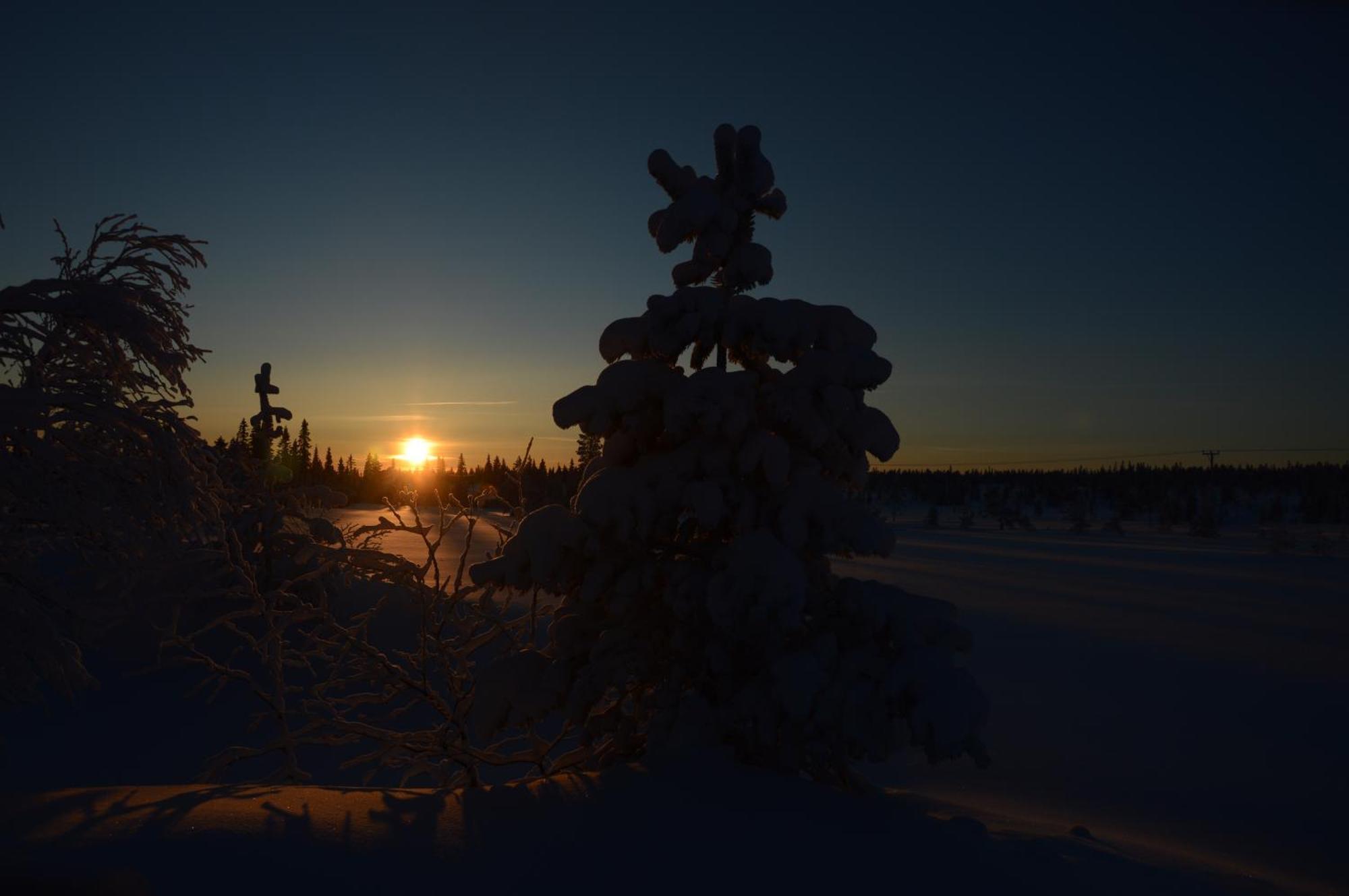 14 - Fulufjellets Nasjonalparker - Natur-, Dyre- Og Fugleopplevelser Trysil Exterior photo