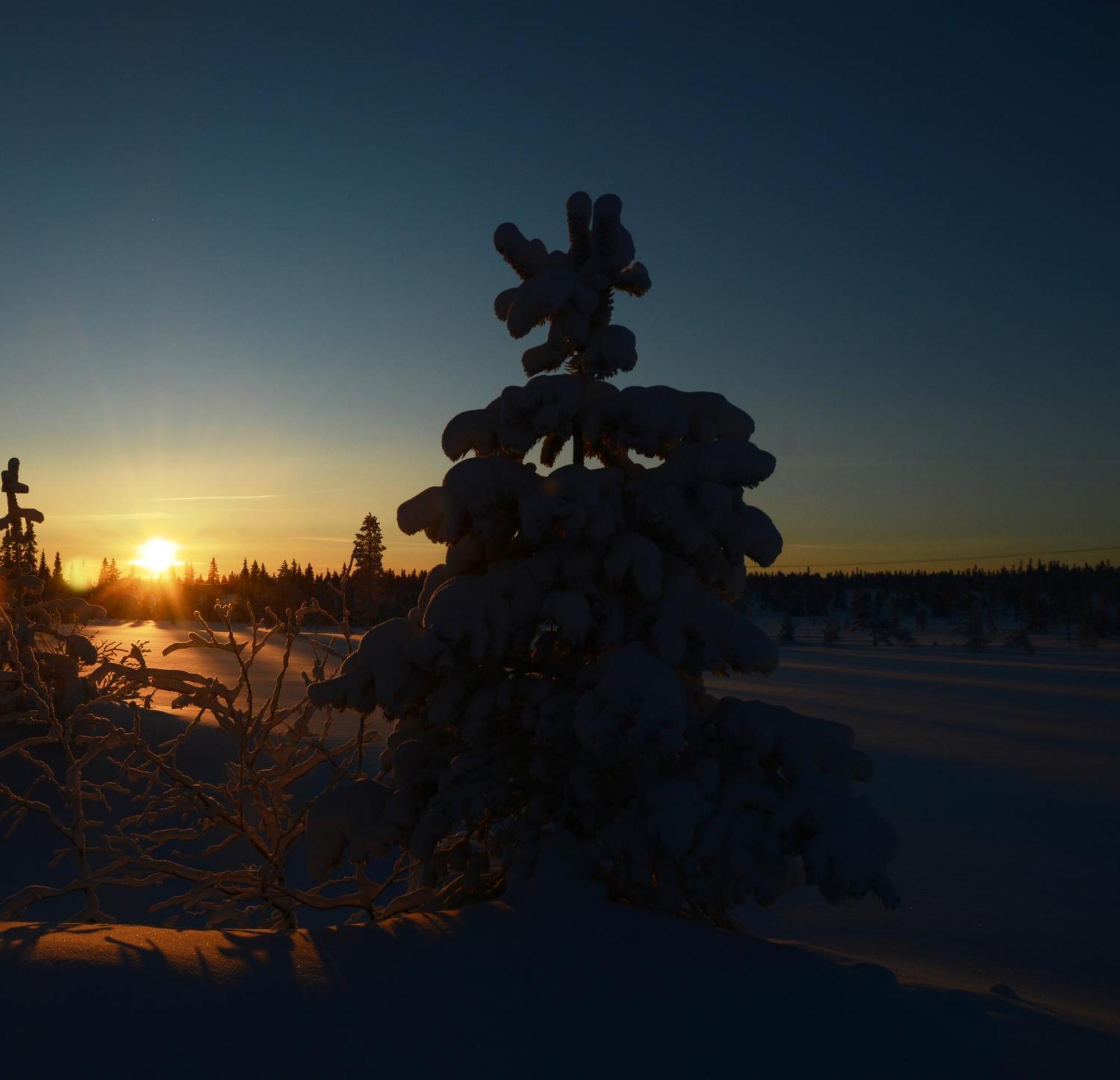 14 - Fulufjellets Nasjonalparker - Natur-, Dyre- Og Fugleopplevelser Trysil Exterior photo