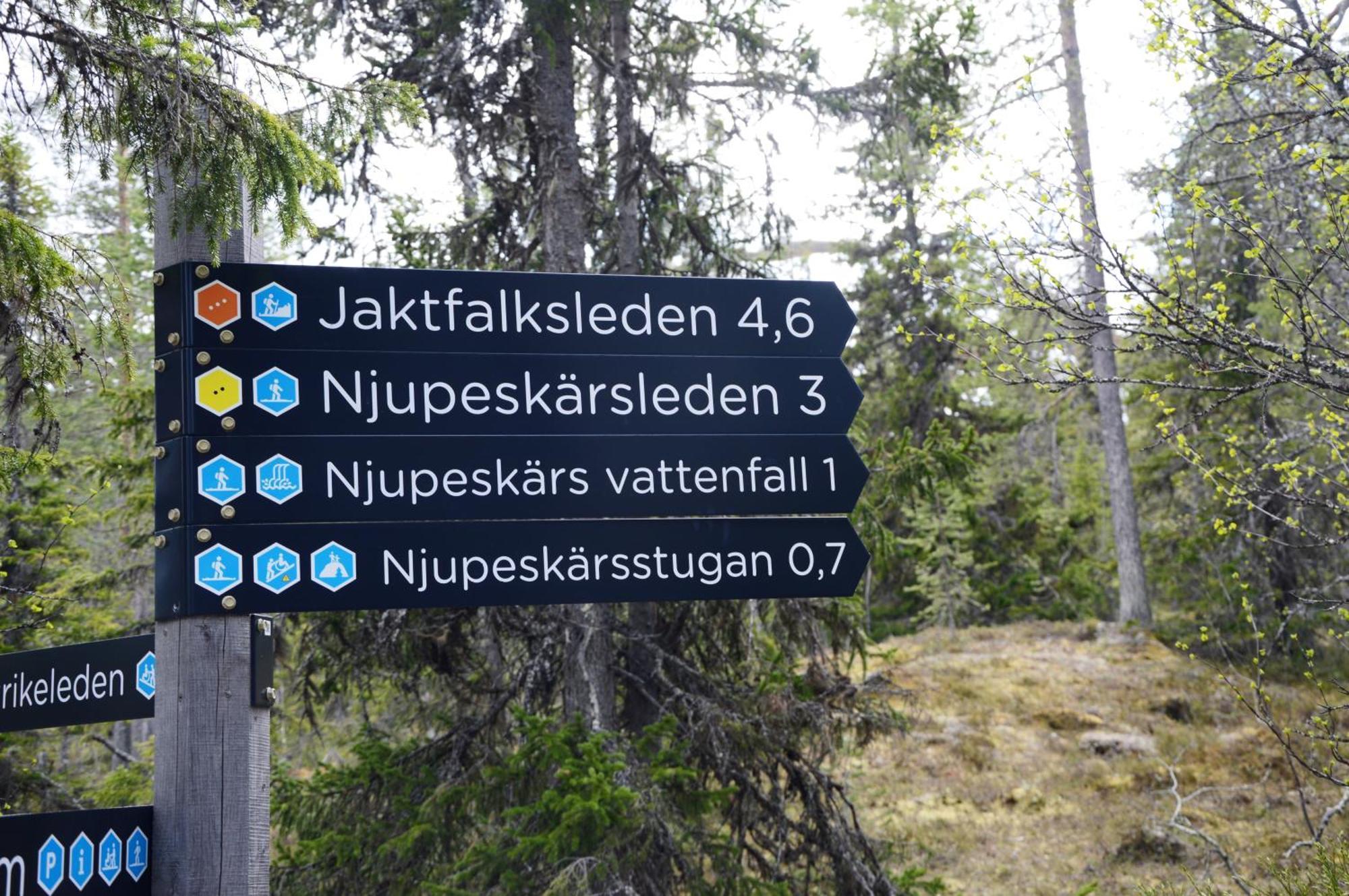 14 - Fulufjellets Nasjonalparker - Natur-, Dyre- Og Fugleopplevelser Trysil Exterior photo