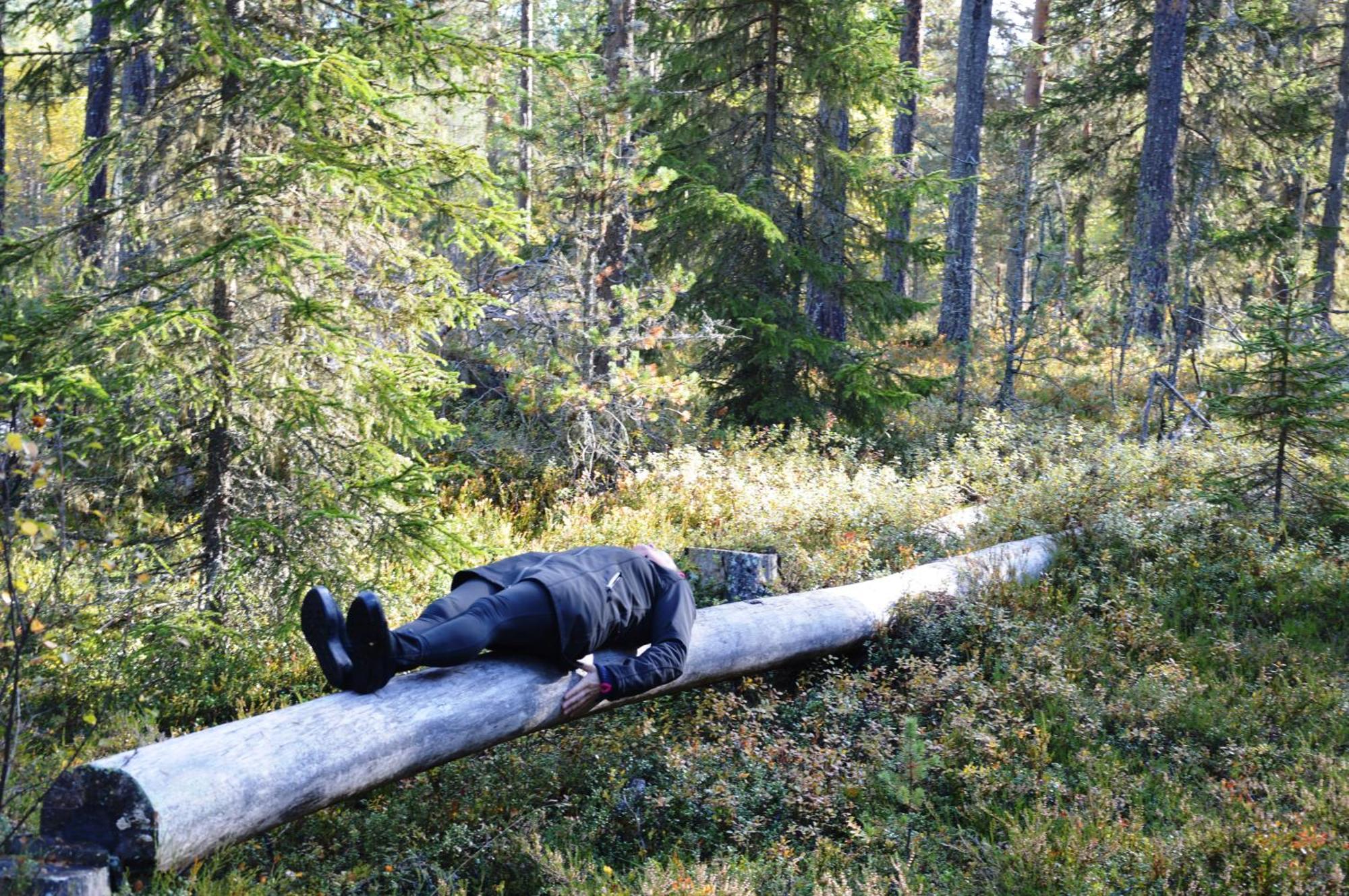 14 - Fulufjellets Nasjonalparker - Natur-, Dyre- Og Fugleopplevelser Trysil Exterior photo