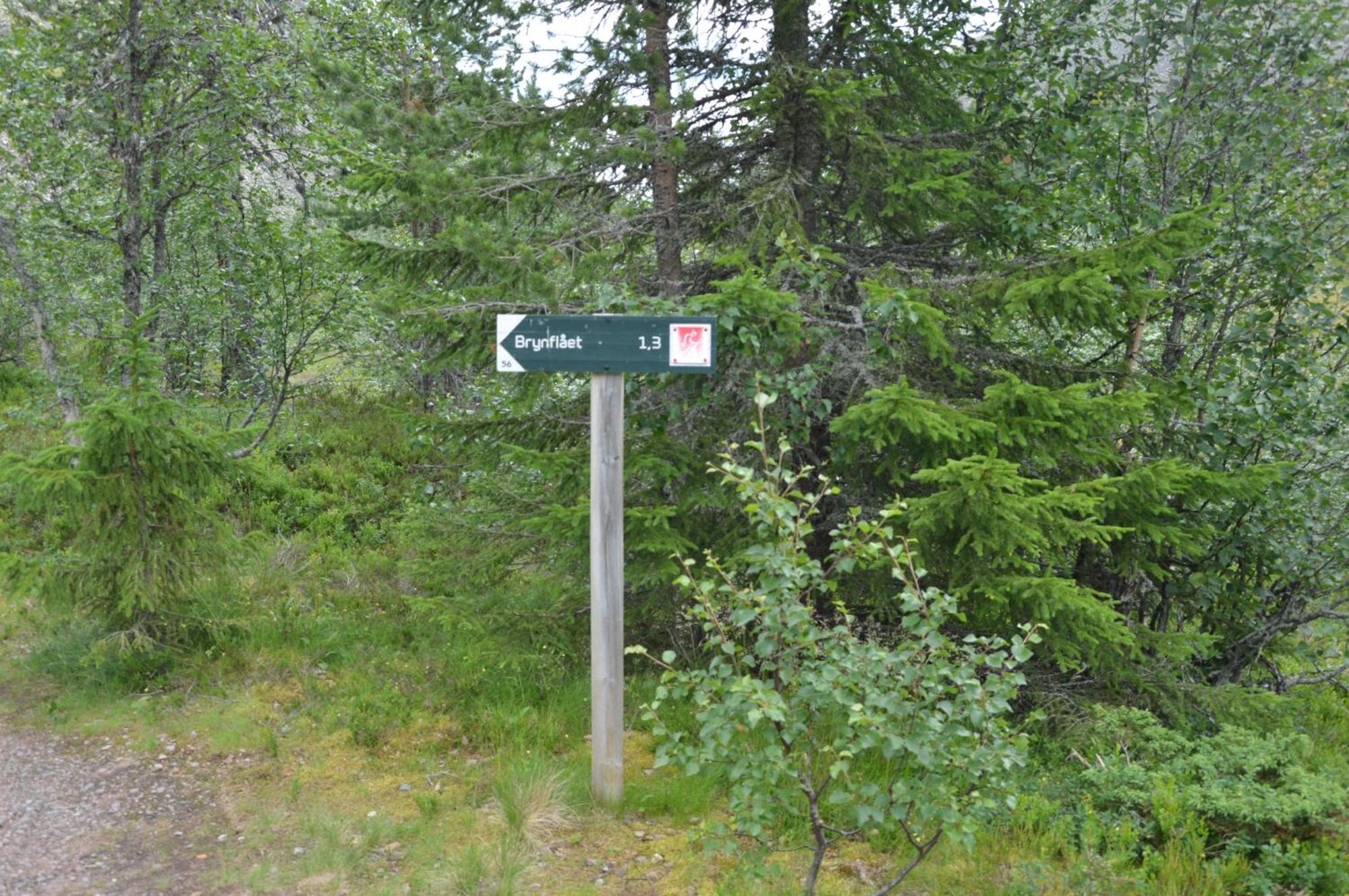 14 - Fulufjellets Nasjonalparker - Natur-, Dyre- Og Fugleopplevelser Trysil Exterior photo